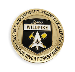 1 Sided Enamel Coin