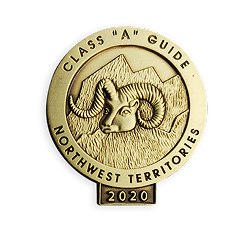 Die Cast/Cut Out Lapel Pins